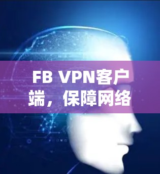 FB VPN客户端，保障网络安全的高效远程访问工具