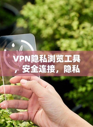 VPN隐私浏览工具，安全连接，隐私保护