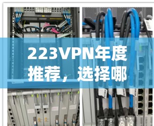 223VPN年度推荐，选择哪一家，你的数据安全就由它来守护