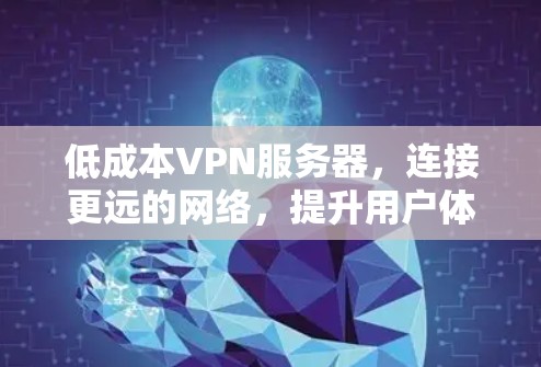 低成本VPN服务器，连接更远的网络，提升用户体验