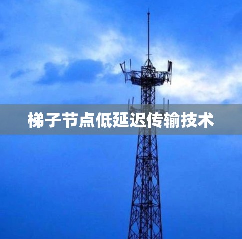 梯子节点低延迟传输技术