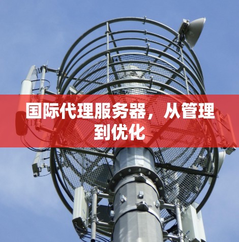 国际代理服务器，从管理到优化