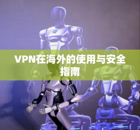 VPN在海外的使用与安全指南