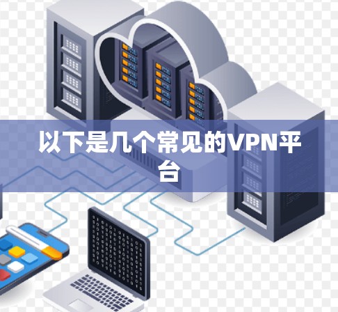 以下是几个常见的VPN平台
