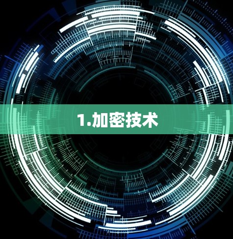 1.加密技术