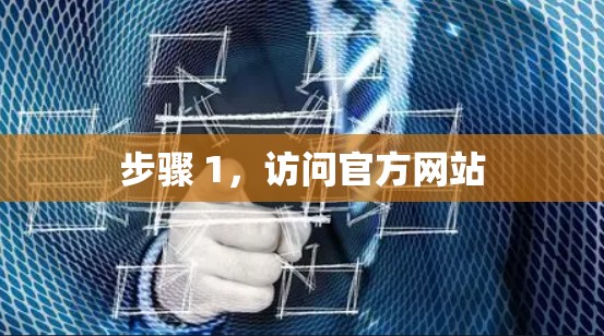 步骤 1，访问官方网站