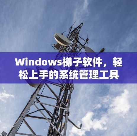 Windows梯子软件,轻松上手的系统管理工具