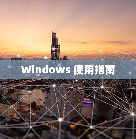Windows 使用指南