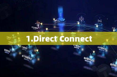 1.Direct Connect