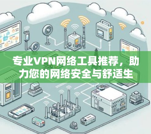 专业VPN网络工具推荐，助力您的网络安全与舒适生活