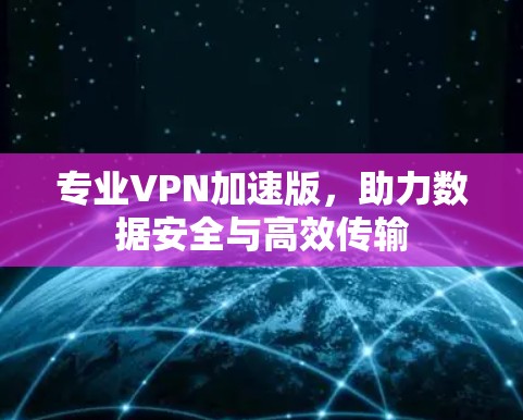 专业VPN加速版，助力数据安全与高效传输