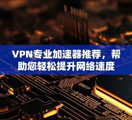 VPN专业加速器推荐，帮助您轻松提升网络速度