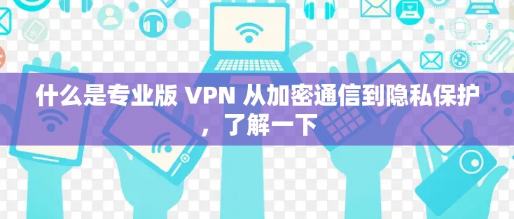 什么是专业版 VPN 从加密通信到隐私保护，了解一下