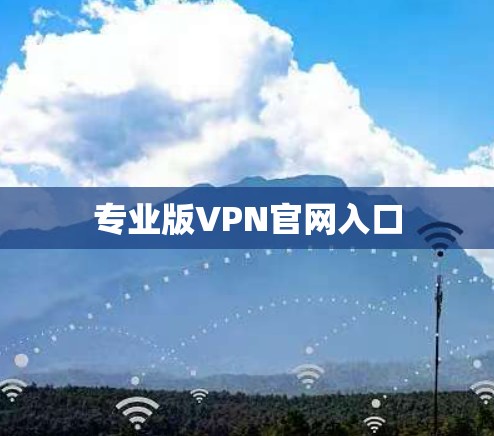 专业版VPN官网入口