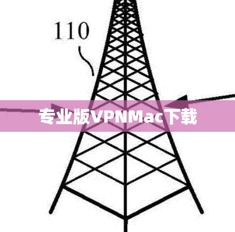 专业版VPNMac下载