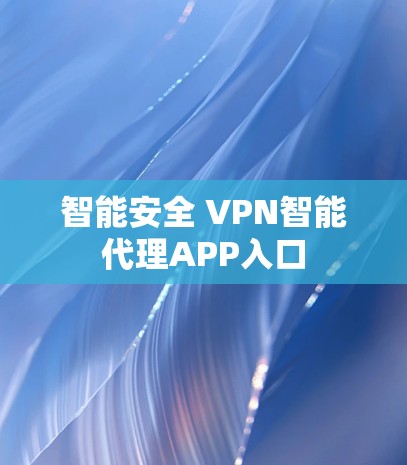 智能安全 VPN智能代理APP入口