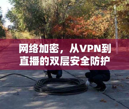 网络加密，从VPN到直播的双层安全防护