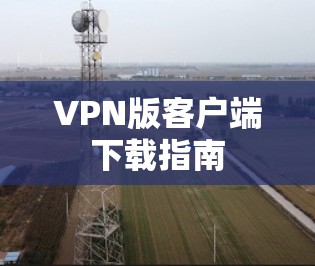 VPN版客户端下载指南