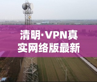 清明·VPN真实网络版最新版