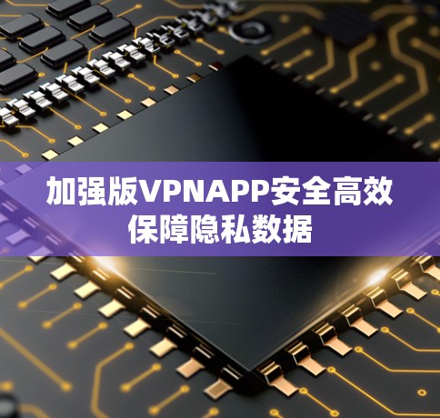 加强版VPNAPP安全高效保障隐私数据
