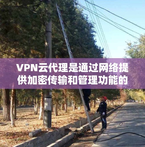 VPN云代理是通过网络提供加密传输和管理功能的工具,旨在保护用户的数据和网络安全。以下是对 VPN 云代理服务的详细分析和总结