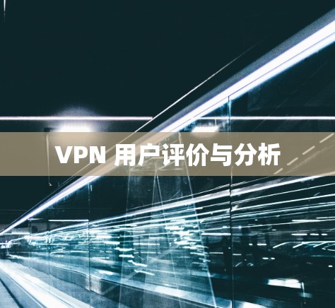 VPN 用户评价与分析