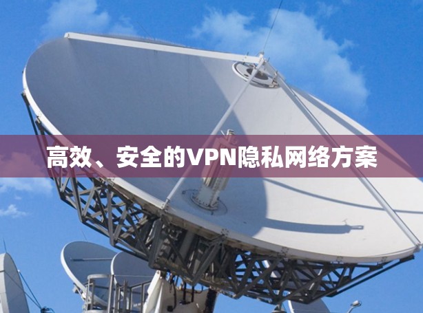 高效、安全的VPN隐私网络方案