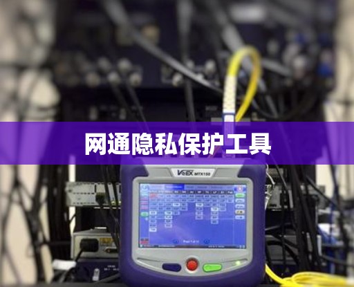 网通隐私保护工具