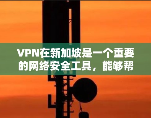 VPN在新加坡是一个重要的网络安全工具，能够帮助用户保护数据不被攻击。以下是对VPN新加坡服务器节点的详细分析