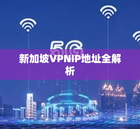 新加坡VPNIP地址全解析