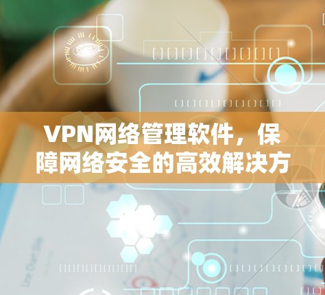 VPN网络管理软件，保障网络安全的高效解决方案