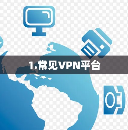 1.常见VPN平台