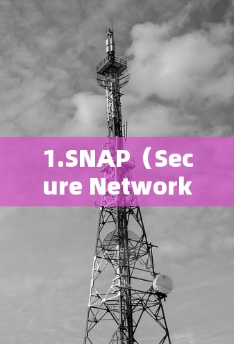1.SNAP（Secure Network Association）