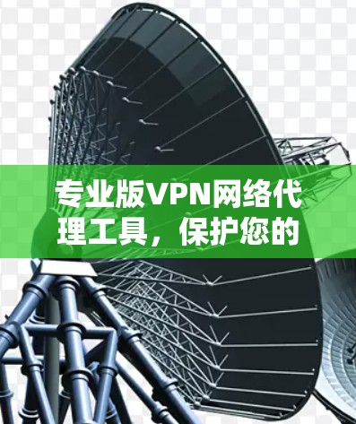 专业版VPN网络代理工具，保护您的网络隐私与安全