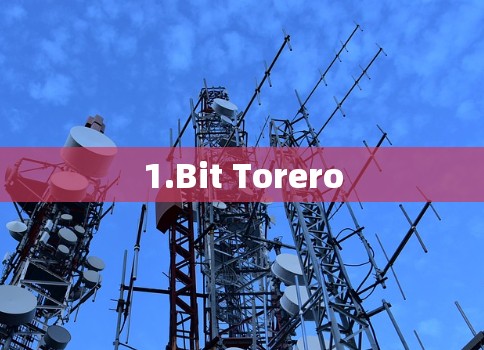 1.Bit Torero