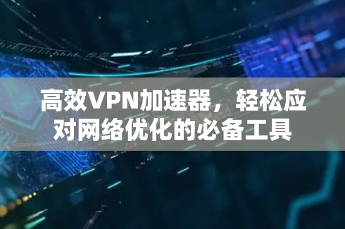 高效VPN加速器，轻松应对网络优化的必备工具