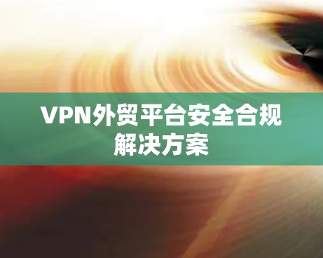 VPN外贸平台安全合规解决方案
