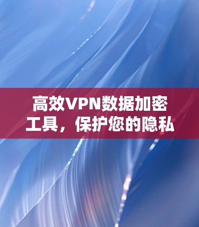 高效VPN数据加密工具，保护您的隐私与安全