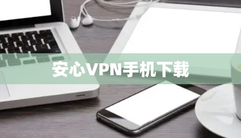 安心VPN手机下载