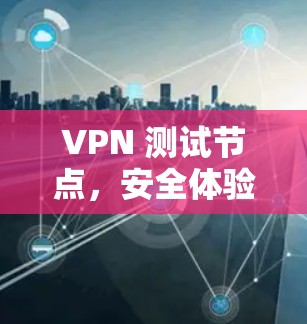 VPN 测试节点，安全体验与漏洞扫描分析