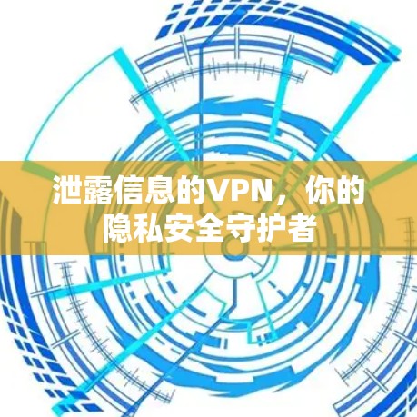 泄露信息的VPN，你的隐私安全守护者