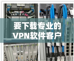 要下载专业的VPN软件客户端，按照以下步骤操作