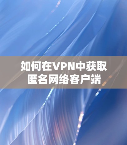 如何在VPN中获取匿名网络客户端