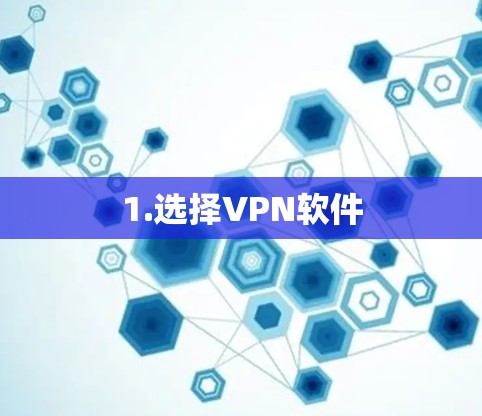 1.选择VPN软件