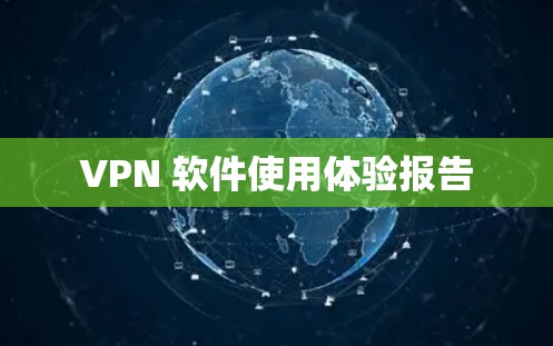 VPN 软件使用体验报告