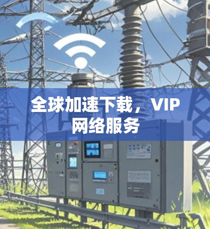 全球加速下载，VIP网络服务