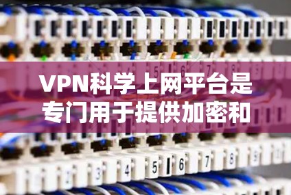 VPN科学上网平台是专门用于提供加密和私密网络访问的服务，旨在保护个人隐私和数据安全。以下是对VPN科学上网平台的详细分析