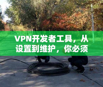 VPN开发者工具，从设置到维护，你必须知道的陷阱