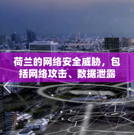 荷兰的网络安全威胁,包括网络攻击、数据泄露和隐私侵犯,也是VPN使用者需要考虑的因素之一。荷兰的网络运营商通常会遵守相关的网络安全法律和标准,以确保数据的安全传输