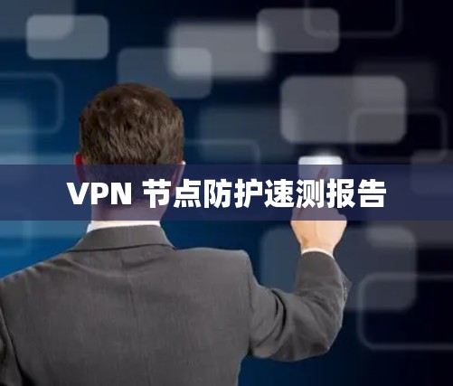 VPN 节点防护速测报告
